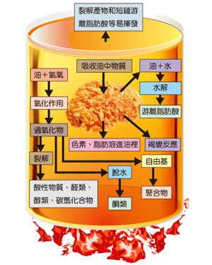 (照片提供／科學人)