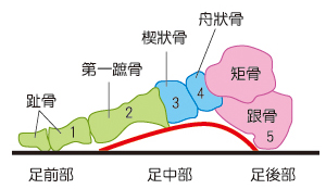 (照片提供／科學人)